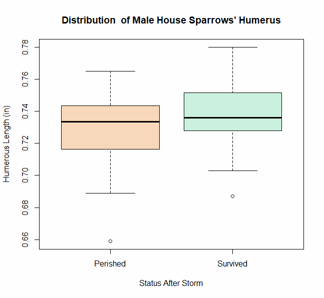 Distribution of Humerus Length for Male House Sparrows